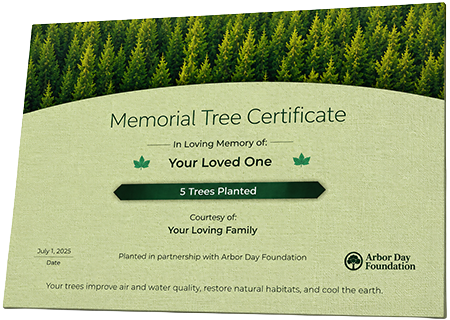 Plant Trees in Memory of Terresa Lynn Goetsch
